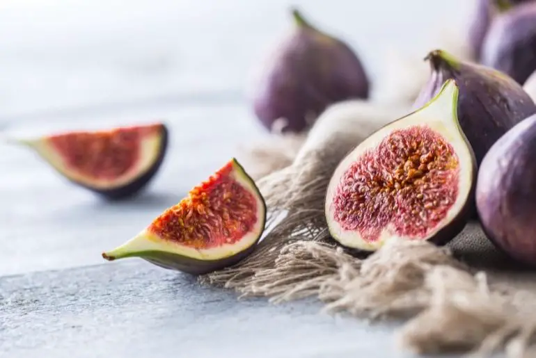Can Cats Eat Figs? (Risks & Benefits)
