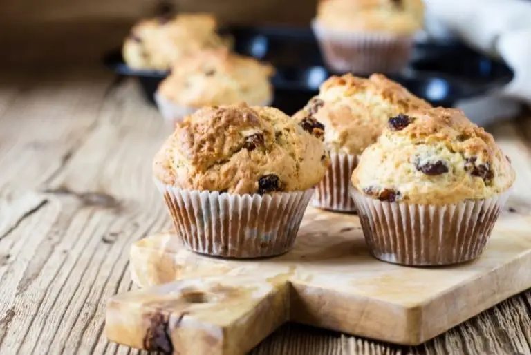 Can Cats Eat Muffin? (Is It Safe For Cats)