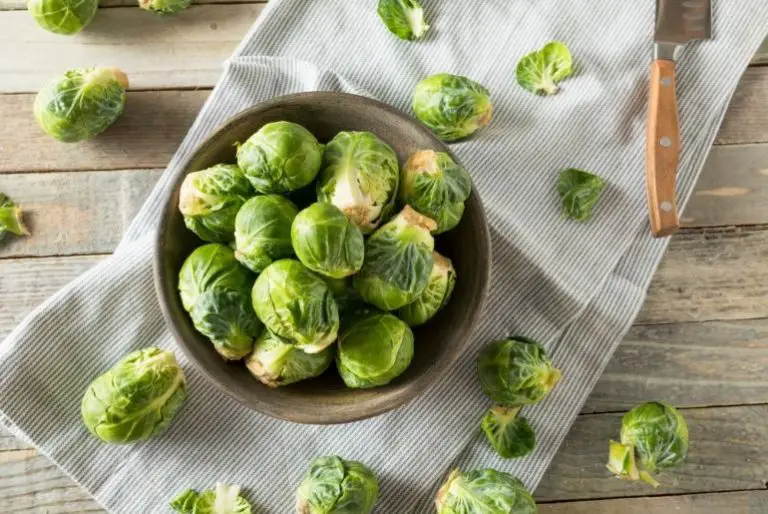 Can Guinea Pigs Eat Brussel Sprouts? (Risks & Benefits)
