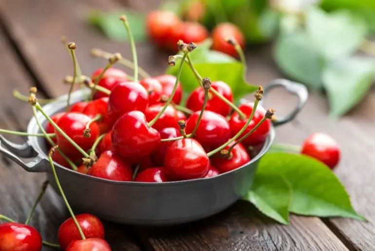 Can Guinea Pigs Eat Cherries? (Risks & Benefits)