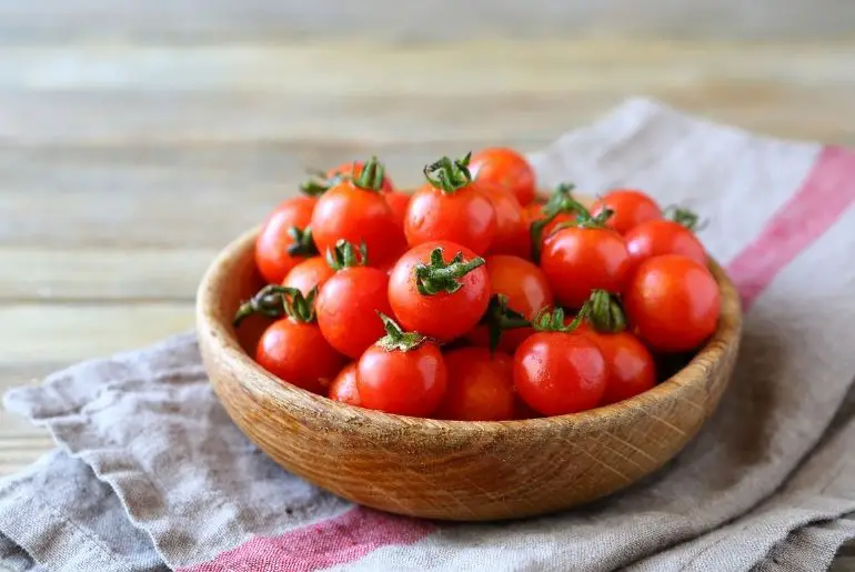 Can Guinea Pigs Eat Cherry Tomatoes? (Risks & Benefits)