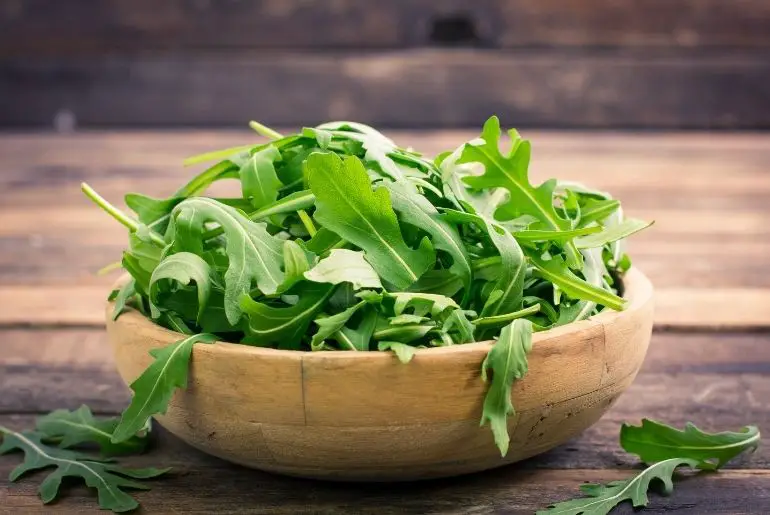 Can Guinea Pigs Eat Arugula? (Risks & Benefits)