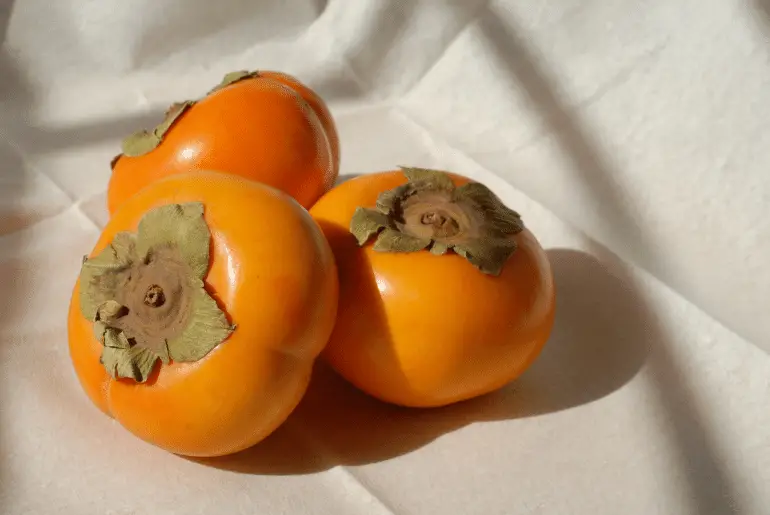 Can Cats Eat Persimmons? (Risks & Benefits)