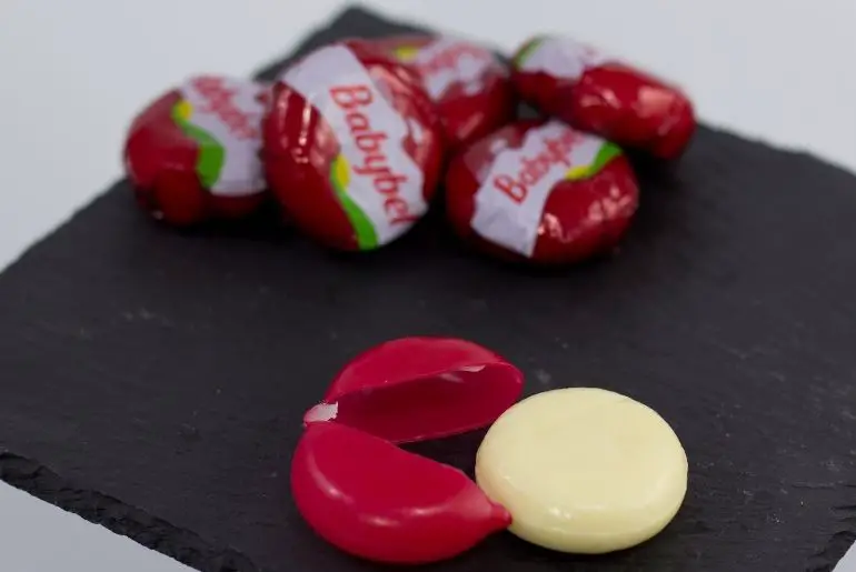 Can Dogs Eat Babybel Cheese? [Risks and Benefits]