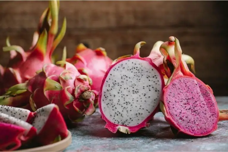 Can Cats Eat Dragon Fruit? [risks and Benefits]