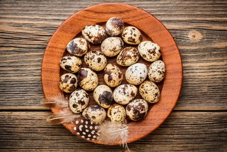 can dogs eat quail eggs