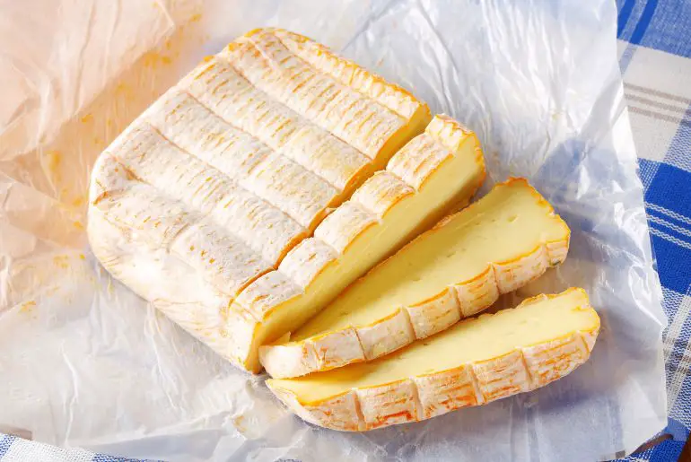 Can Dogs Eat Cheese Rind? [Risks & Benefits]