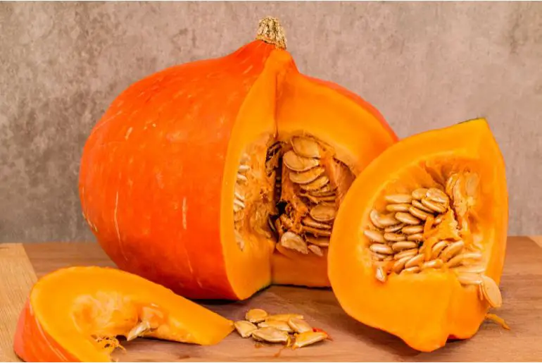 Can Rabbits Eat Pumpkin? [How Much Is Safe, Dangers and Benefits]